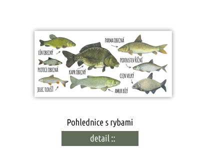 pohlednice pro rybáře